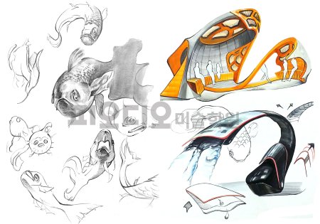 Зарисовки природных форм