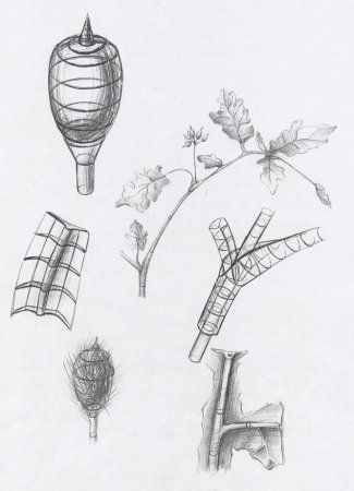 Клаузура малой архитектурной формы