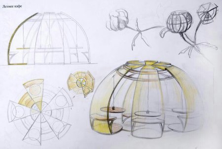 Трансформация бионической формы