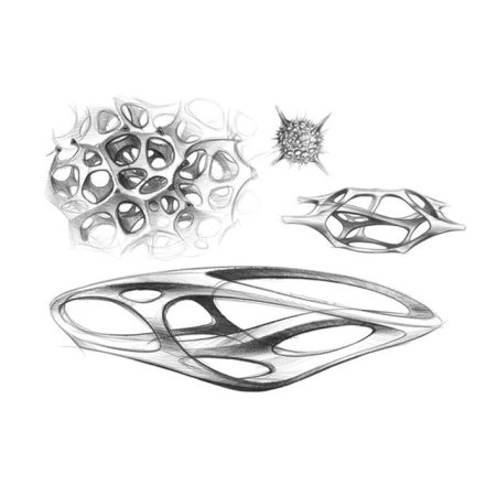 Стилизация природной формы в архитектуре