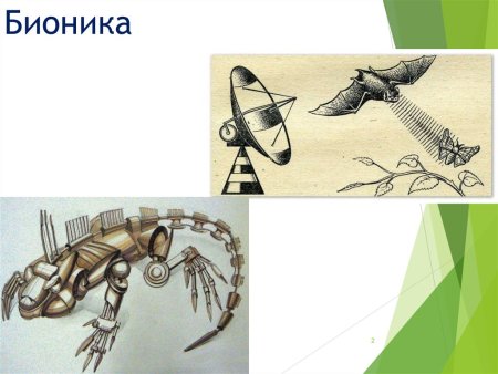 Скетчи Промдизайн Бионика