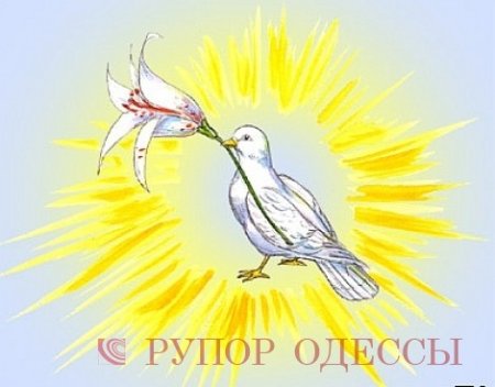 Птичка Вестник добра