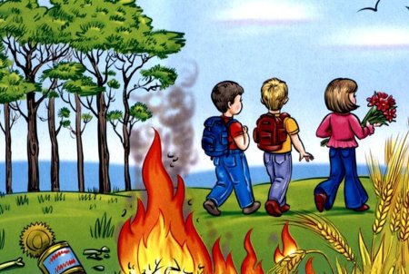 Безопасность в лесу для дошкольников