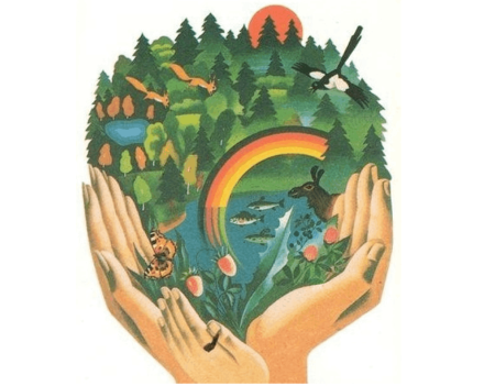 Дети любовь к родине