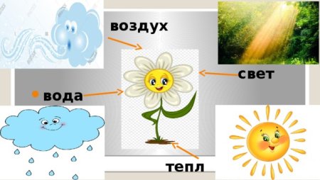 Рисунок на тему бережем тепло
