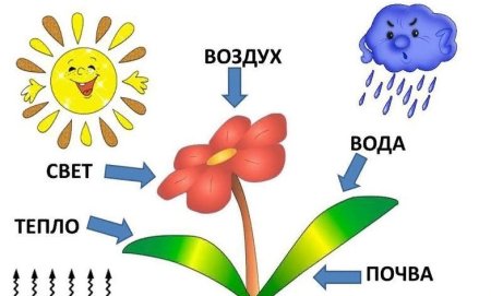 Рисунок на тему береги электроэнергию