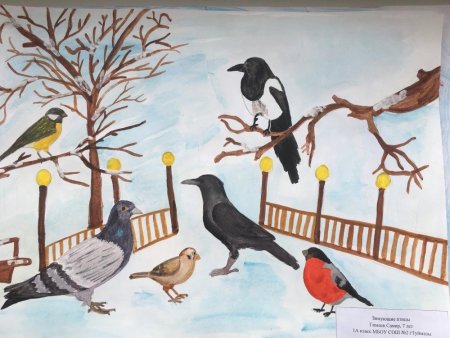 Рисование на тему зимующие птицы