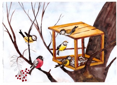 Рисование птицы на кормушке