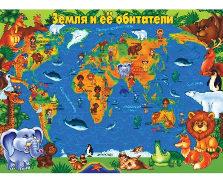 Животные разных континентов для дошкольников