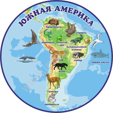Материки для детей