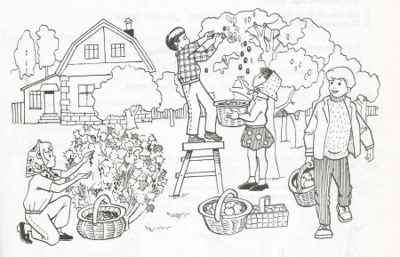 Раскраска. В огороде