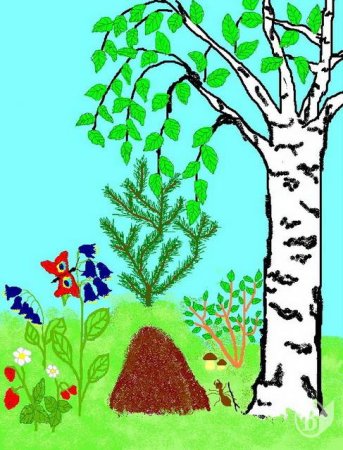 Компьютерные рисунки в паинте