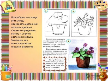 Рисование с натуры цветочного горшочка с растением.