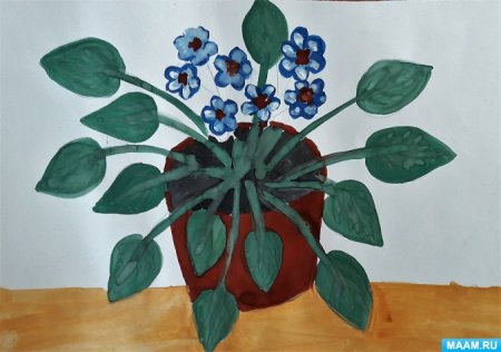 Рисование комнатные растения средняя группа