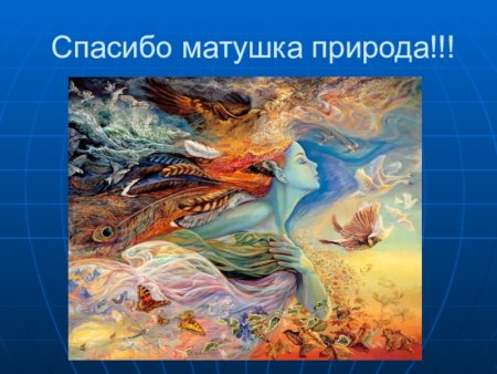 Проект богатства отданные людям