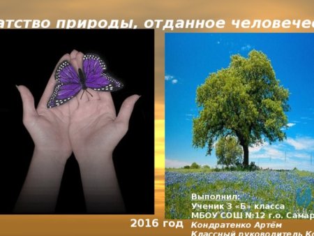 Богатства природы отданные людям