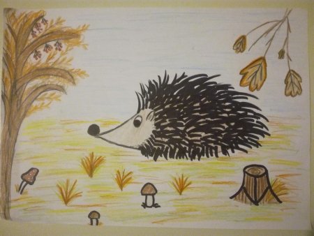 Милые иллюстрации осень