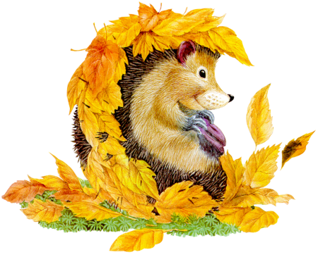 Рисование на тему Ежик осенью