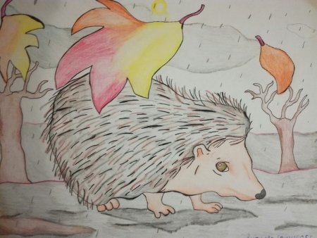 Елизавета Мелкозерова Ёжики