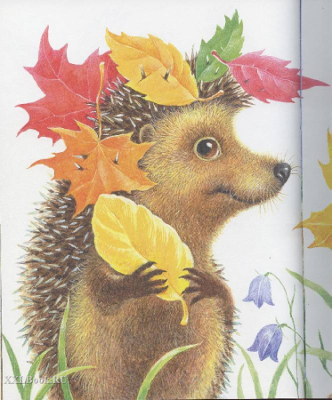 Осенний Ёжик
