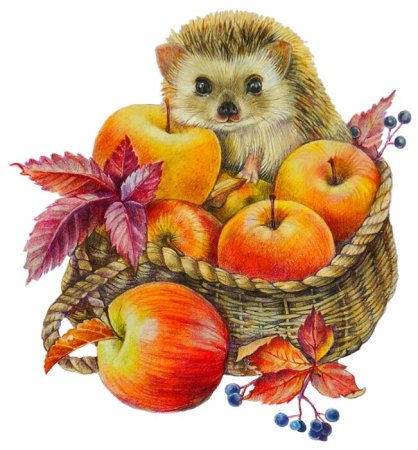 Ежик гуашью для детей