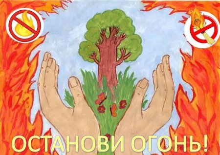 Рисунки на тему спасем лес от огня