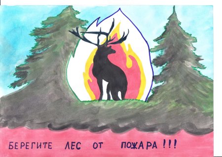 Берегите лес от пожара рисунки