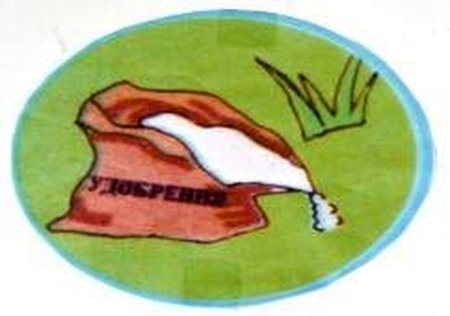 Значок охраны почвы