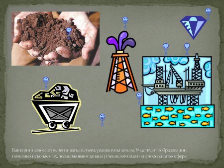 Бактерии полезные ископаемые