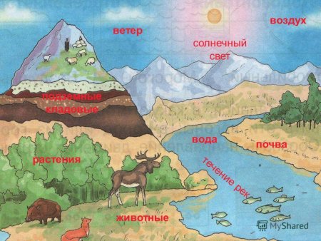 Иллюстрации природные богатства земли