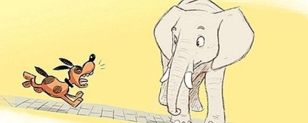 Собака лающая на слона