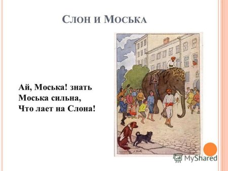 Произведение слон и моська