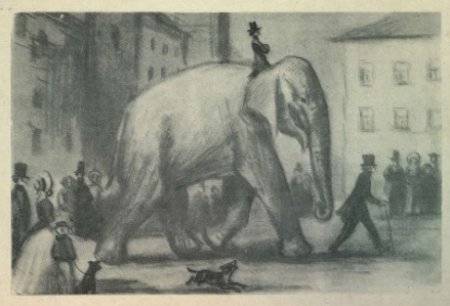 Слон м моська