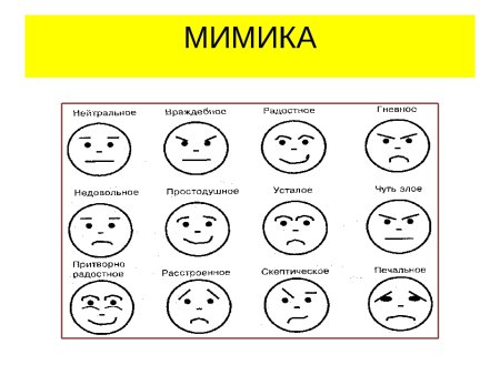 Выражение лица мимика и жесты