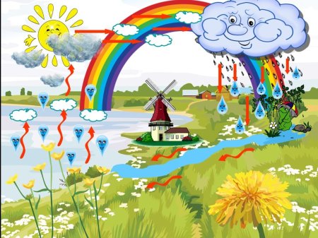 Круговорот воды в приро