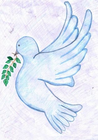 Уроки рисования голубей