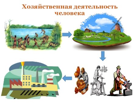 Хозяйственная деятельность человека