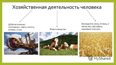 Хоз деятельность человека