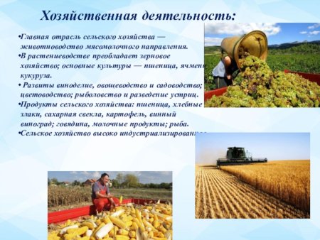 Промышленность хозяйственная деятельность