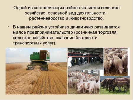 Отрасли сельского хозяйства