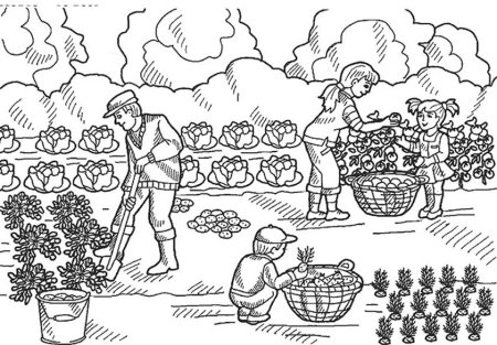 Раскраска. В огороде