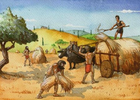 Сельское хозяйство в древнем Риме