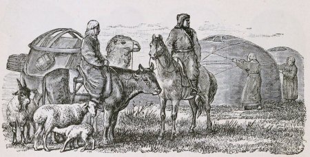 Ногайская Орда кочевое скотоводство