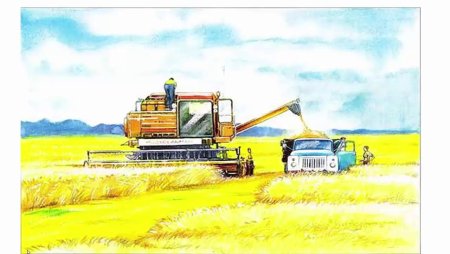 Картина Каратая Золотая рожь Нищева