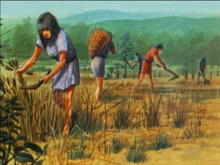 Первобытное общество Неолит земледелие