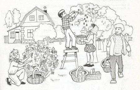 Огород для раскрашивания