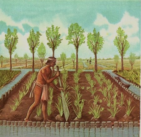 Шумеры земледелие