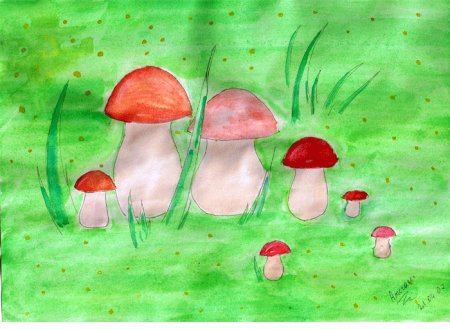 Грибная Поляна изо подготовительная группа Колдина