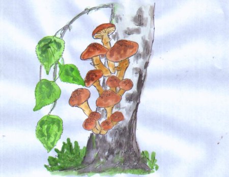 Опёнок осенний наисовать