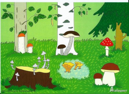 Поляна с грибами для детей